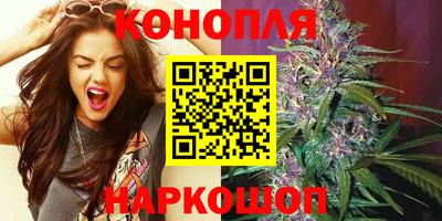 сатива Волжский