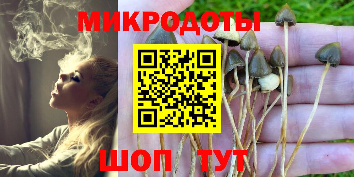 Псилоцибиновые грибы Cubensis  Вход с VPN  Новоалтайск 